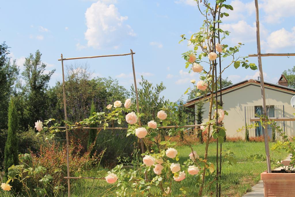 Agriturismo Dimore Di Poggianto Pergine Valdarno Экстерьер фото