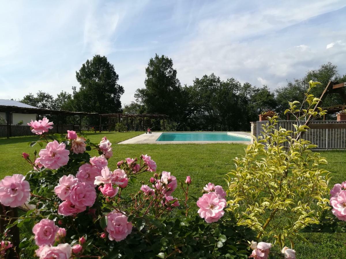 Agriturismo Dimore Di Poggianto Pergine Valdarno Экстерьер фото